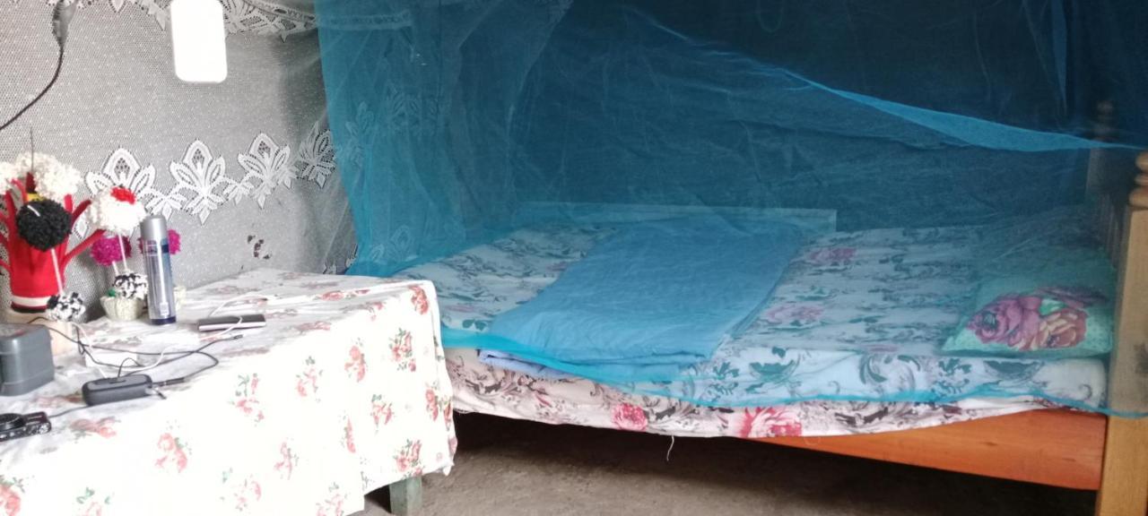 Maasai Homestay Camping Sekenani Eksteriør billede