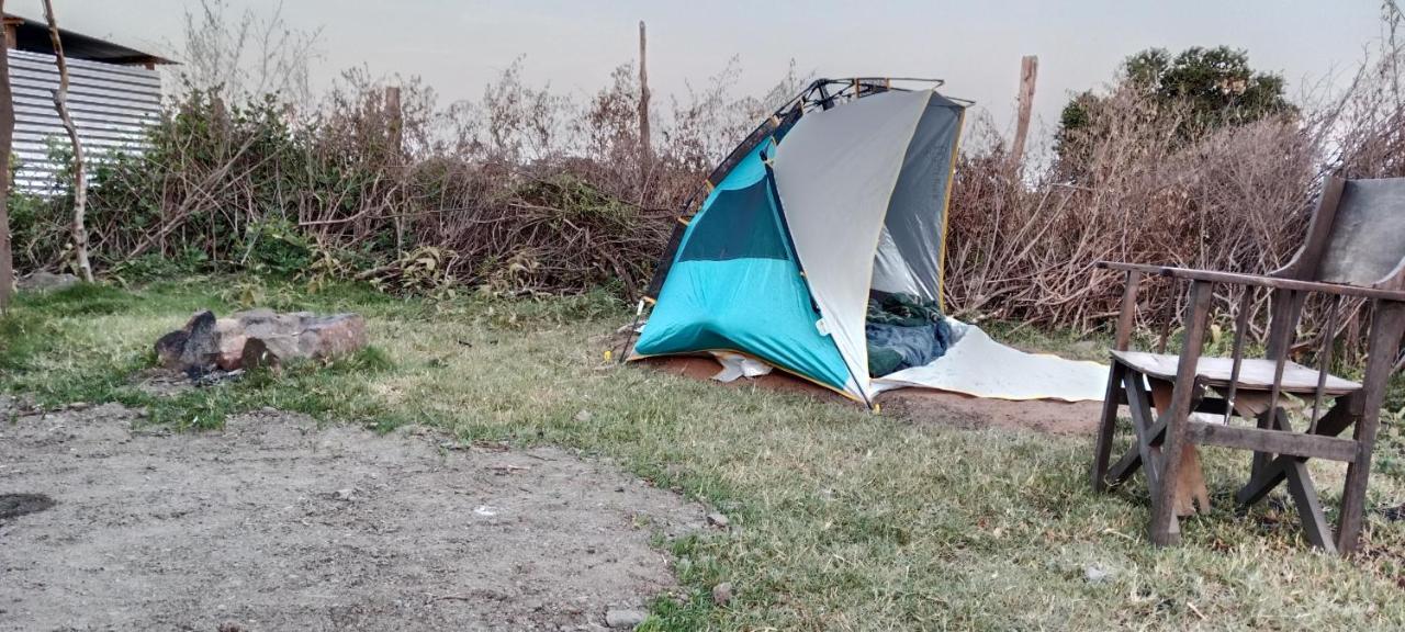 Maasai Homestay Camping Sekenani Eksteriør billede