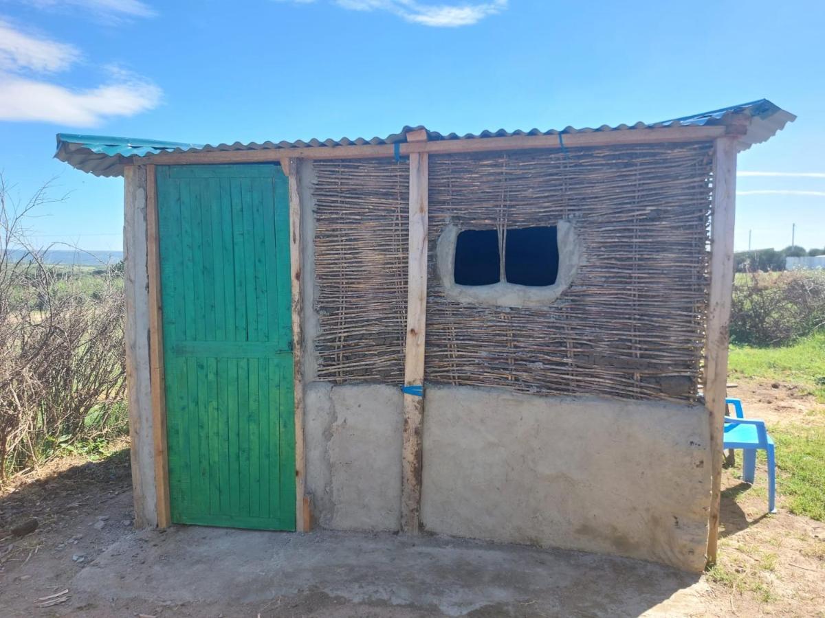Maasai Homestay Camping Sekenani Eksteriør billede