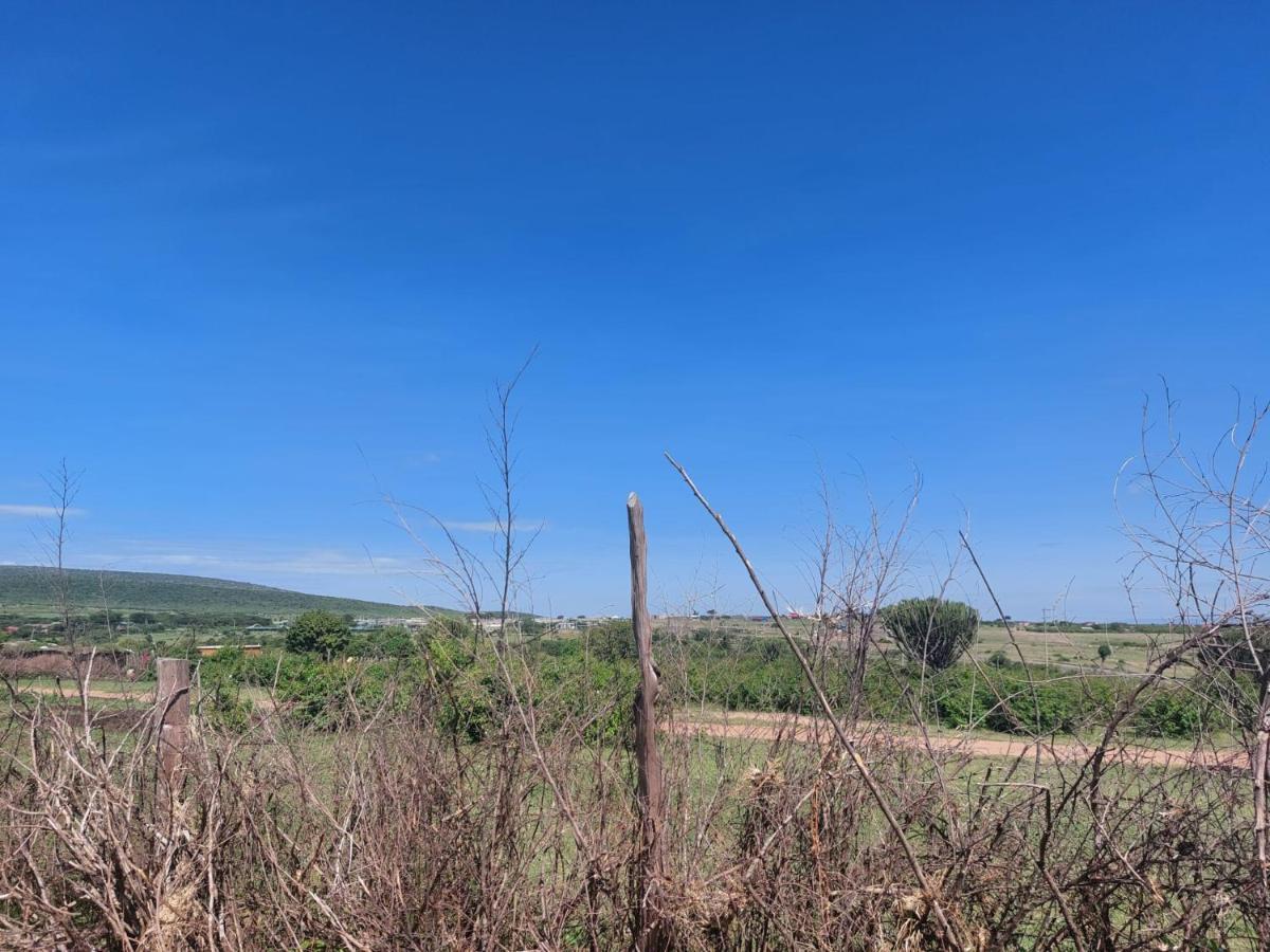 Maasai Homestay Camping Sekenani Eksteriør billede