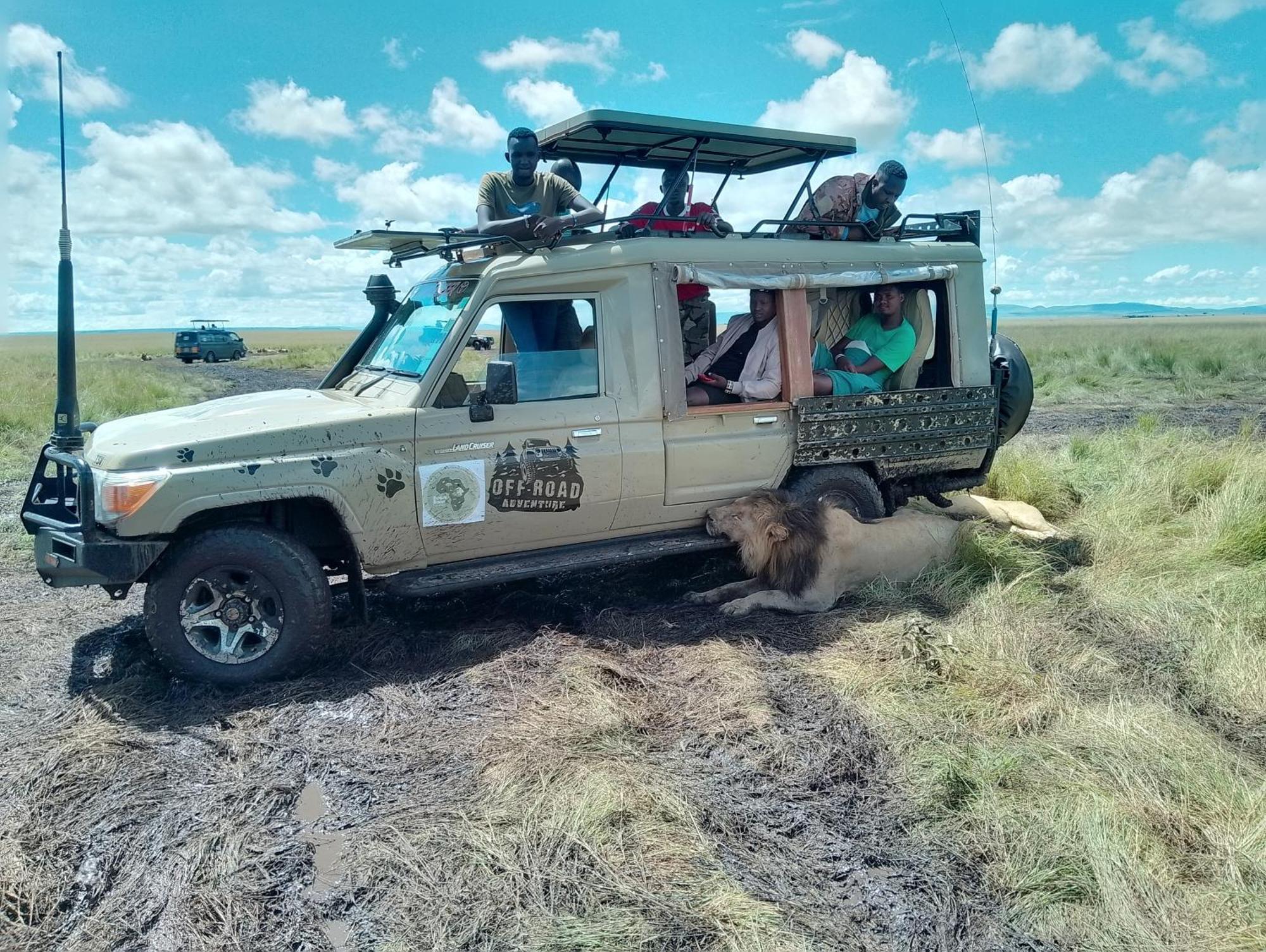 Maasai Homestay Camping Sekenani Eksteriør billede